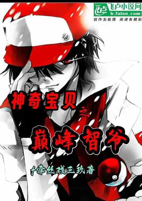 神奇宝贝燃之智攻略