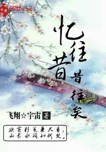 忆往昔对应什么