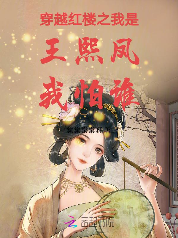 穿越红楼梦 王熙凤