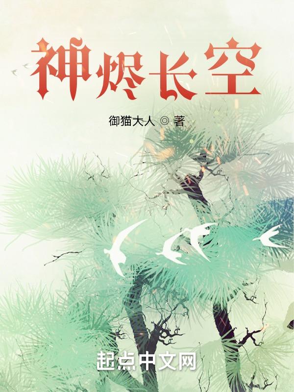 长空烬明电视剧