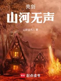 亮剑无声处