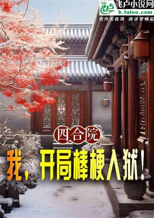 四合院开局棒梗偷鸡