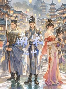 先南宋还是北