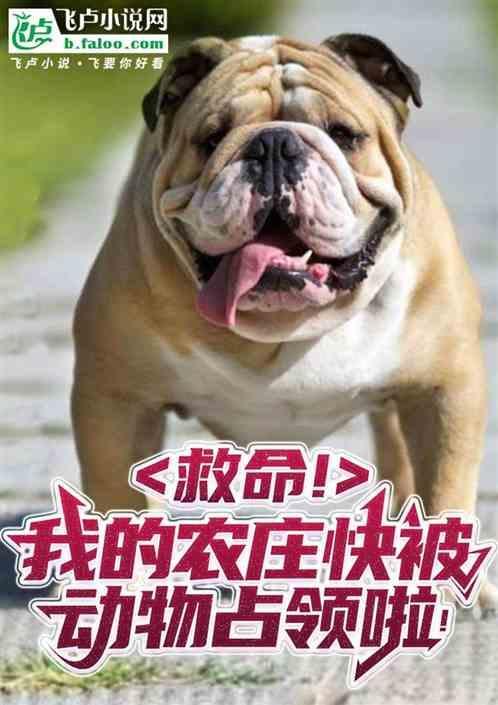 我的农场