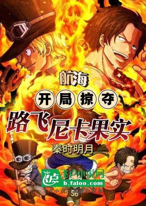 海贼开局继承艾尼路