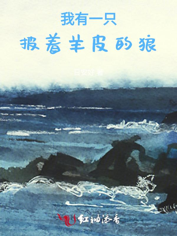 我是一只披着羊皮的狼歌词小沈阳