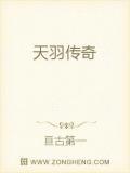 天羽传奇官网入口登录
