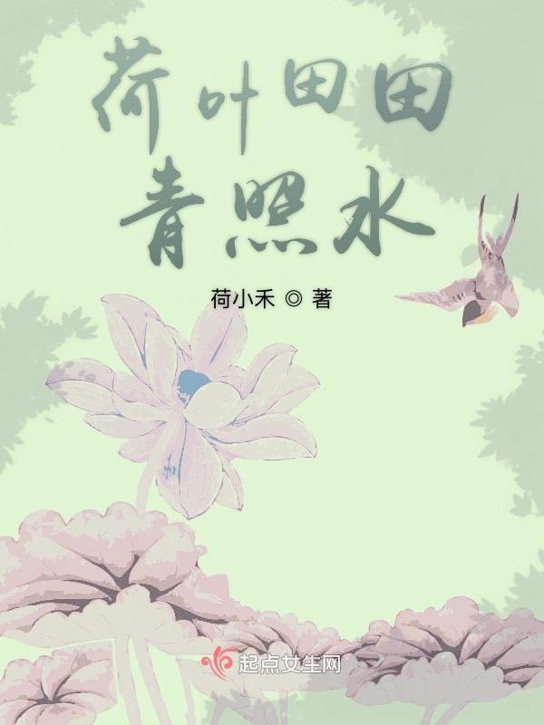 荷叶田田间