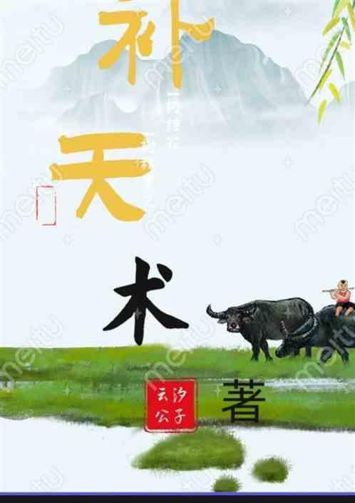 天书葬花补天术