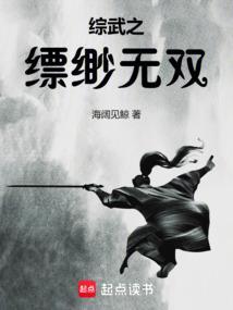 综武之缥缈无双免费完整版