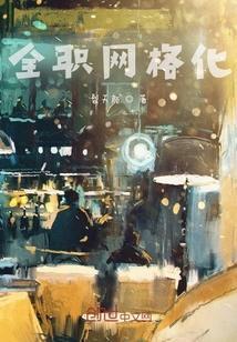 网格化是什么