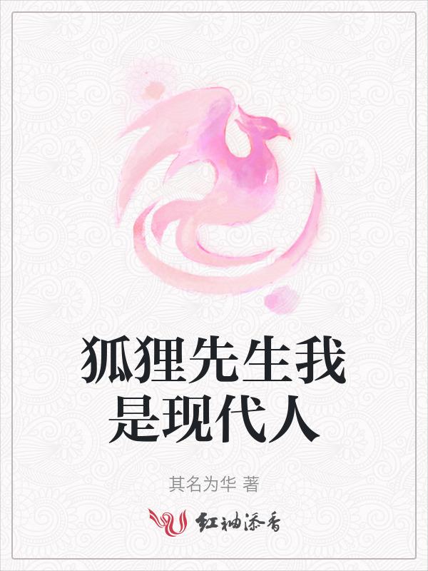 狐狸先生是什么动画片