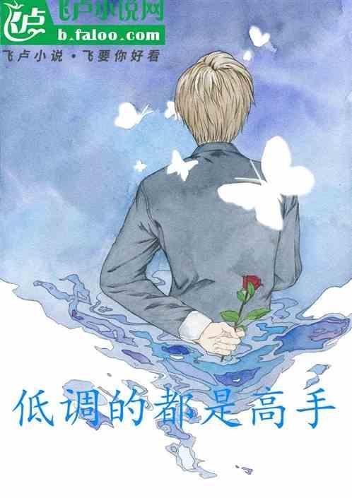 低调高手