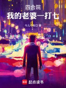 四合院我的老婆一打七全文免费阅读