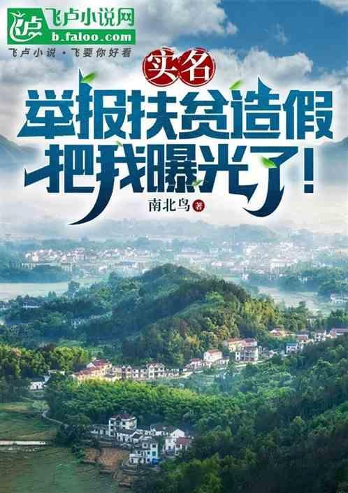 扶贫问题举报