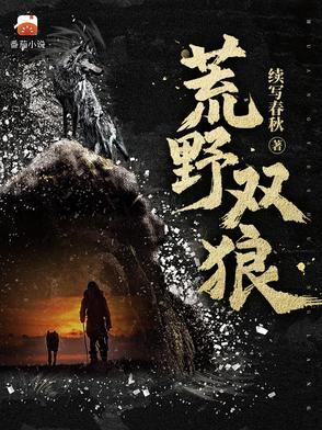 荒野双狼没写完吗