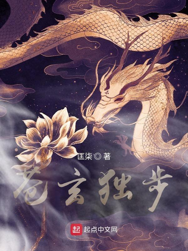 主人公苍玄庭