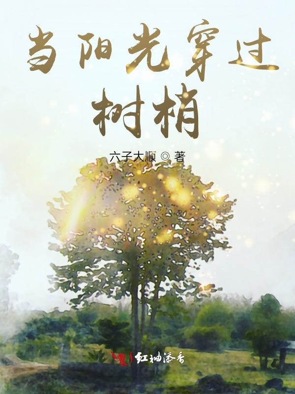 阳光穿过树梢图片