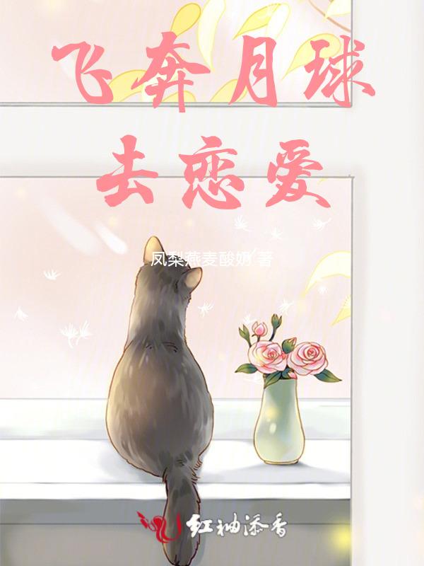 飞奔去月球 中文