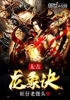 主角林枫的