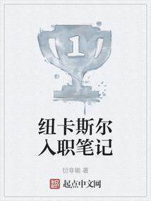 纽卡斯尔吧