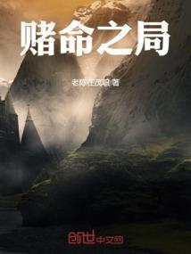 赌命之爱dⅴd