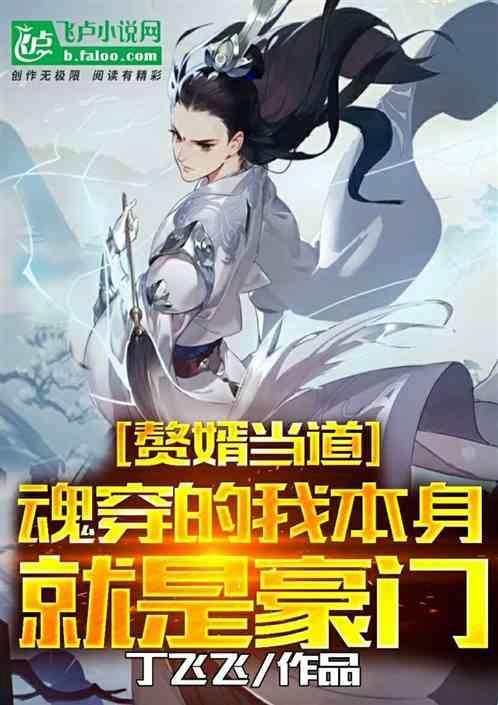 赘婿 穿越人