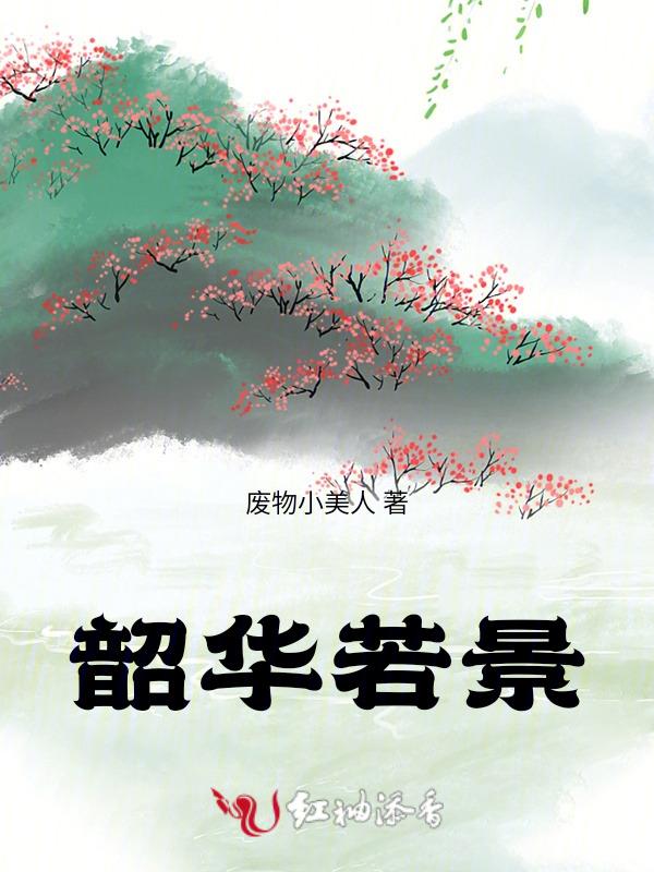 韶华若景演员表
