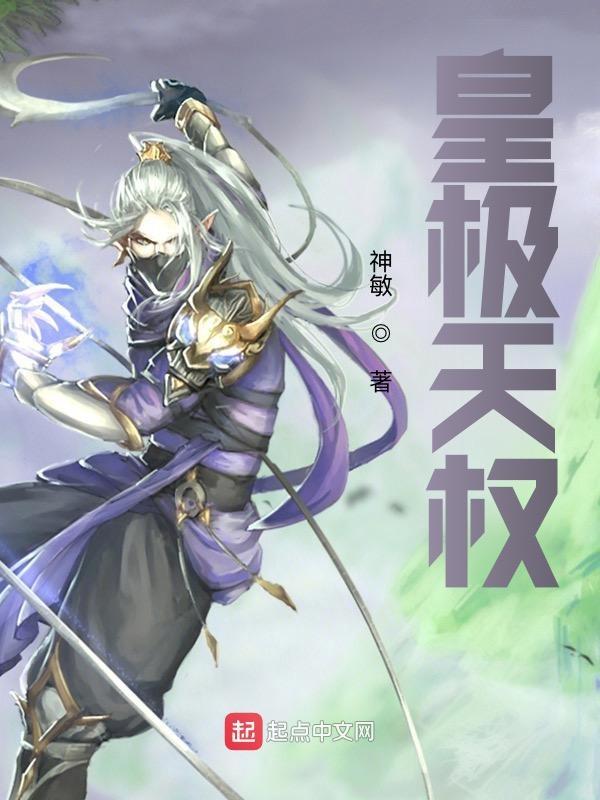 皇极天剑