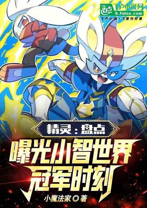 小智拿到过冠军吗