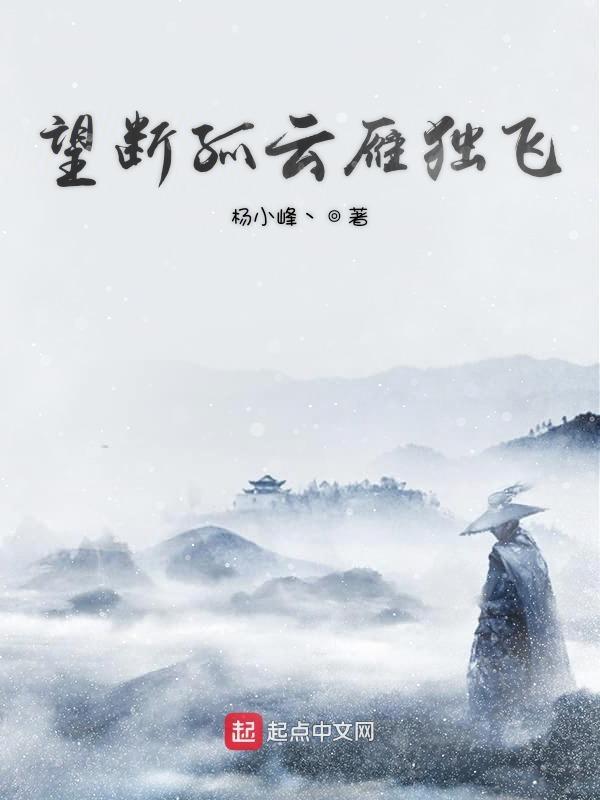 孤云雁影什么意思