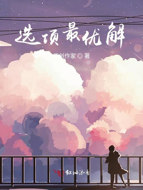 最优解的含义
