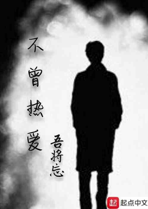 不曾爱过你是什么歌词