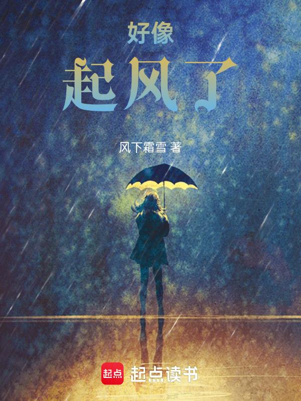 起风了一