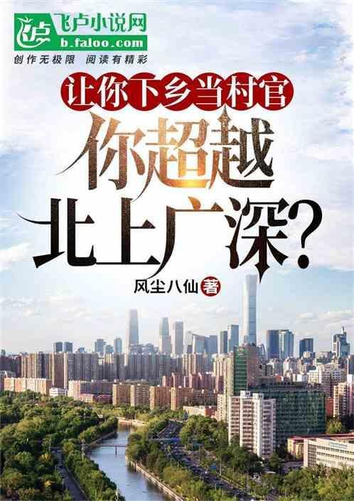 下乡当村官的