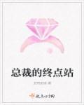 总裁的总裁
