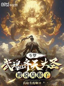 齐天大圣斗罗