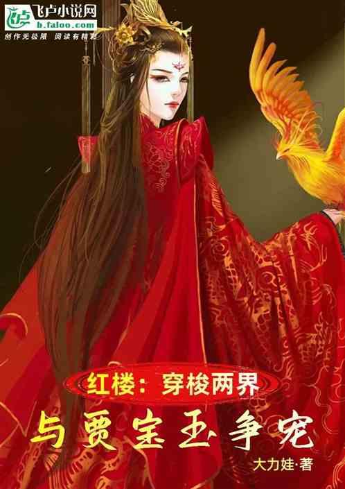 红楼穿越的贾亮