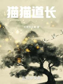 猫 道家