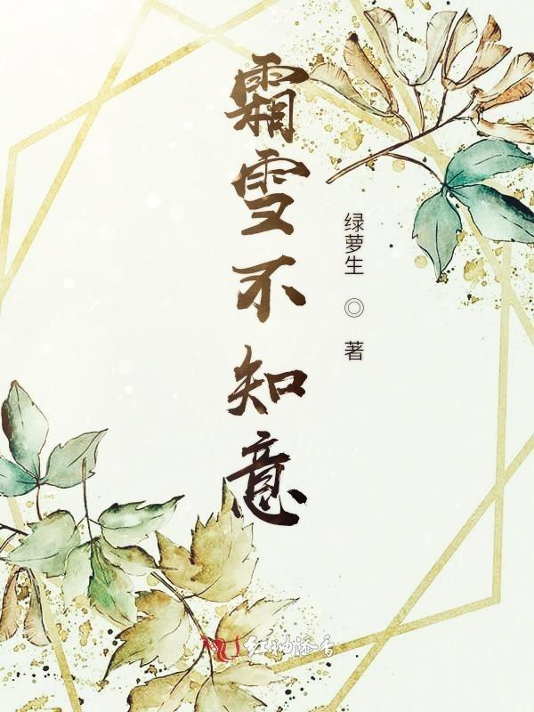 霜雪未归人