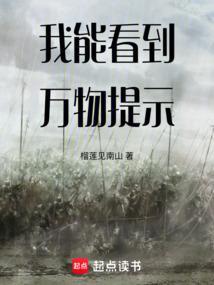 我可以看到万物法则