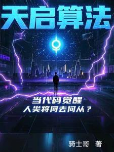 天启的芯片
