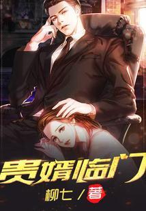 贵婿临门周毅柳七著