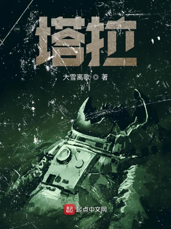 塔拉河谷大桥简介资料