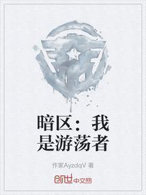 暗区游荡者是什么意思