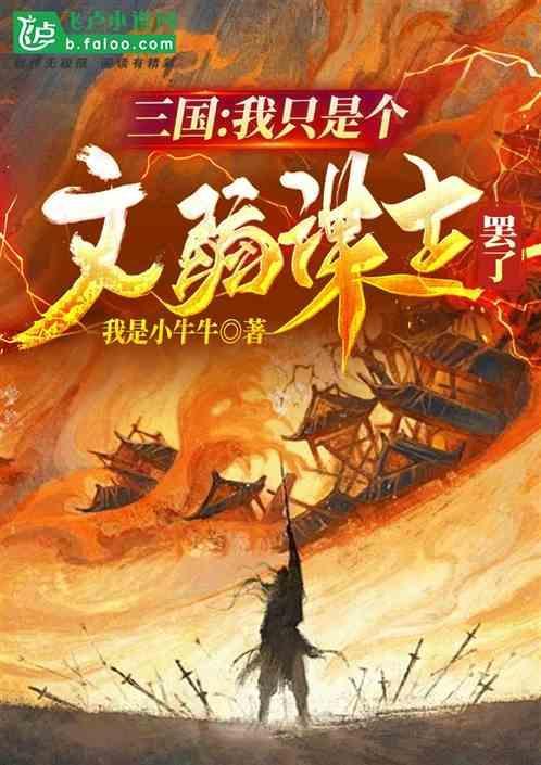 三国之我只是一个伙夫