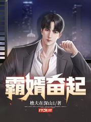 霸婿崛起顶点
