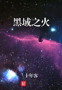 黑域配合什么使用