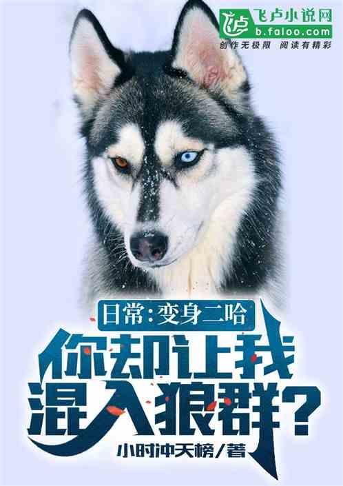 主角穿越成为二哈的