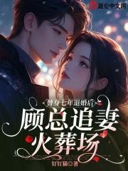 替嫁甜妻顾
